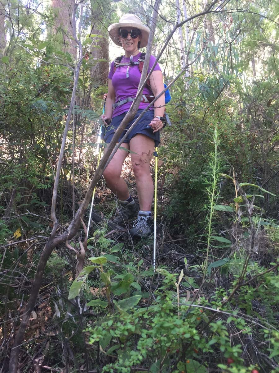 Four & six mile spurs hike 56