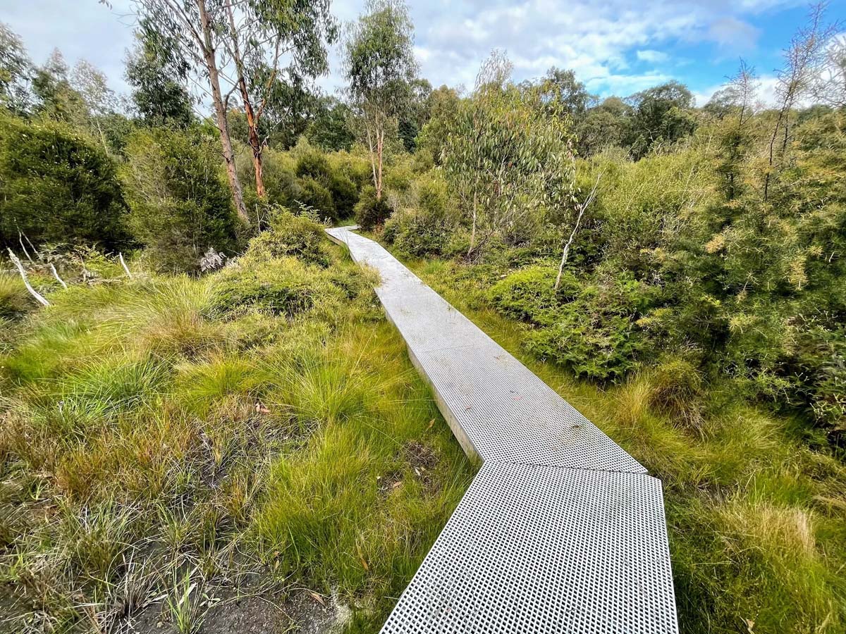 Freemans mill walking track 2
