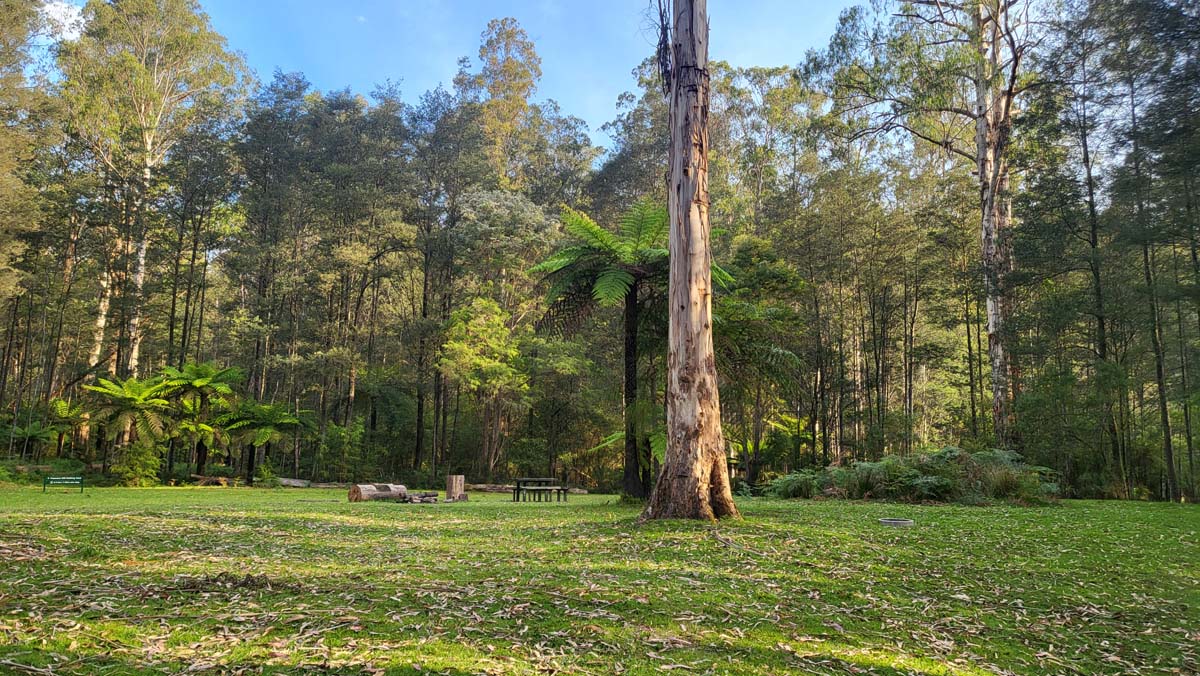 Freemans mill track to bunyip weir 2