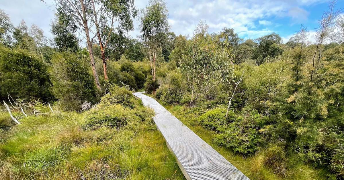 Freemans mill track to bunyip weir 4
