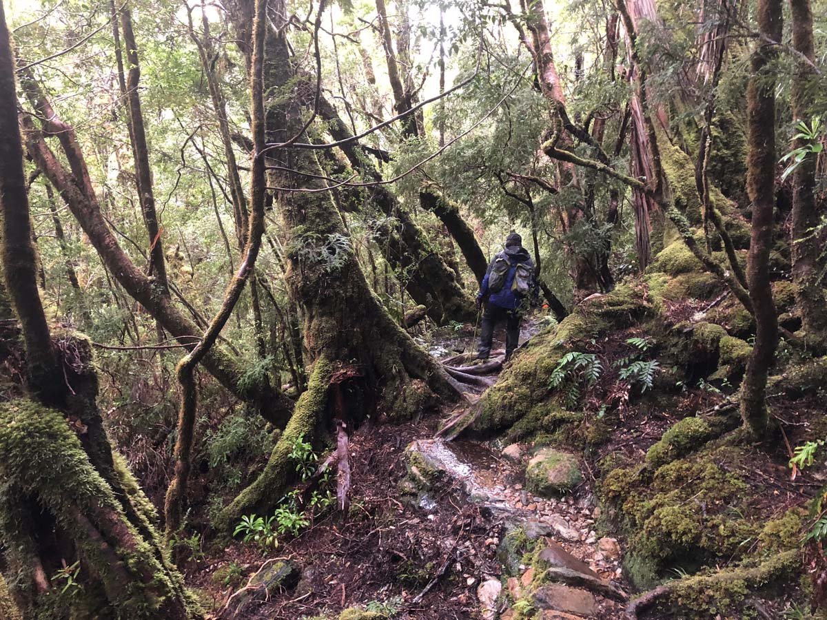 Frenchmans cap hike 111