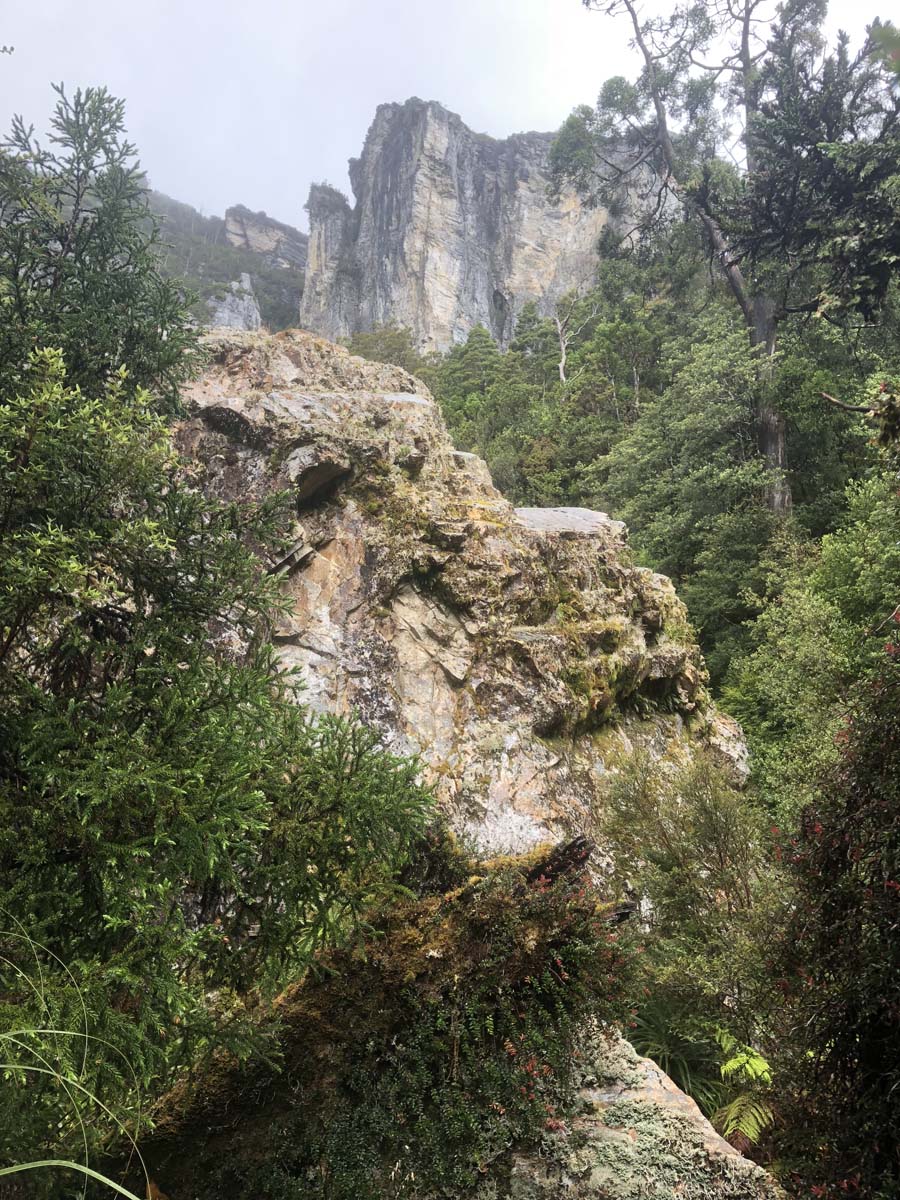 Frenchmans cap hike 15