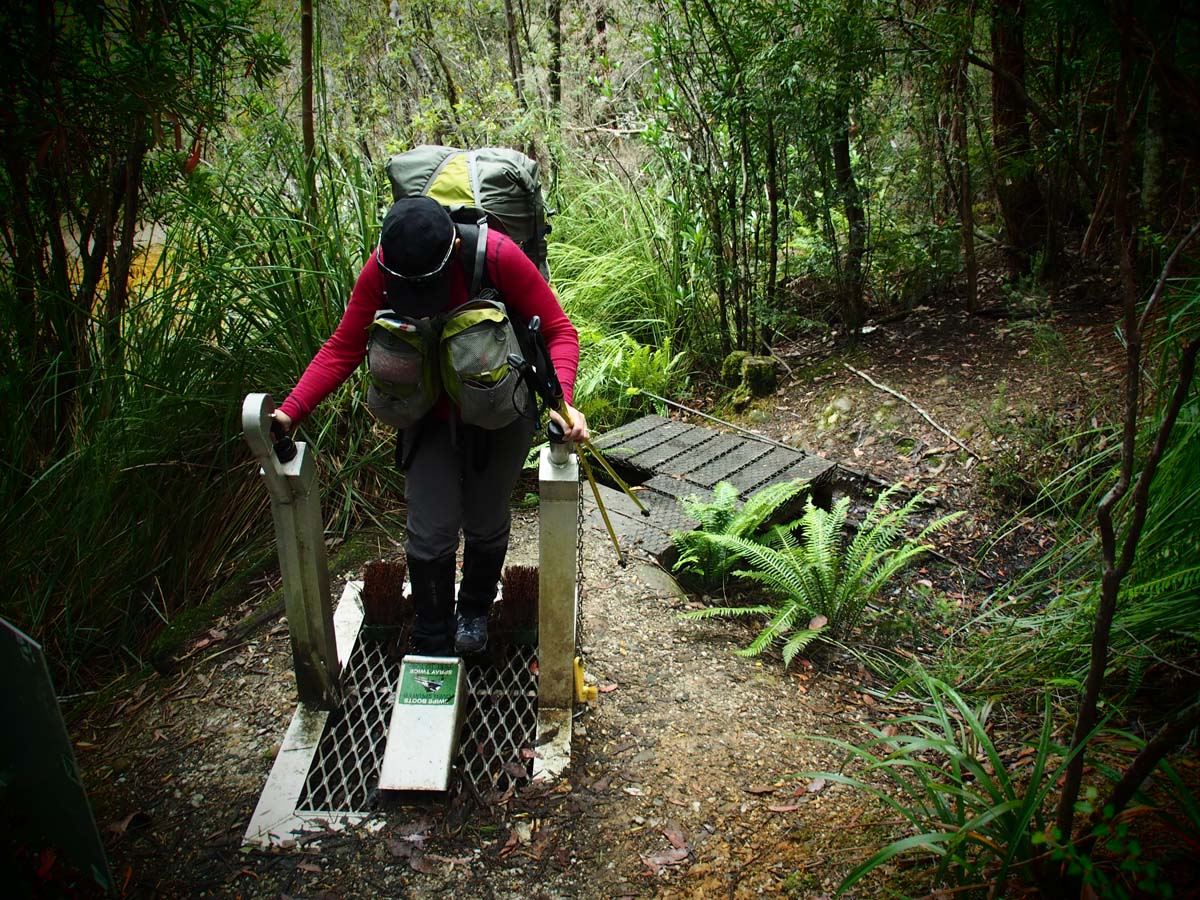 Frenchmans cap hike 170