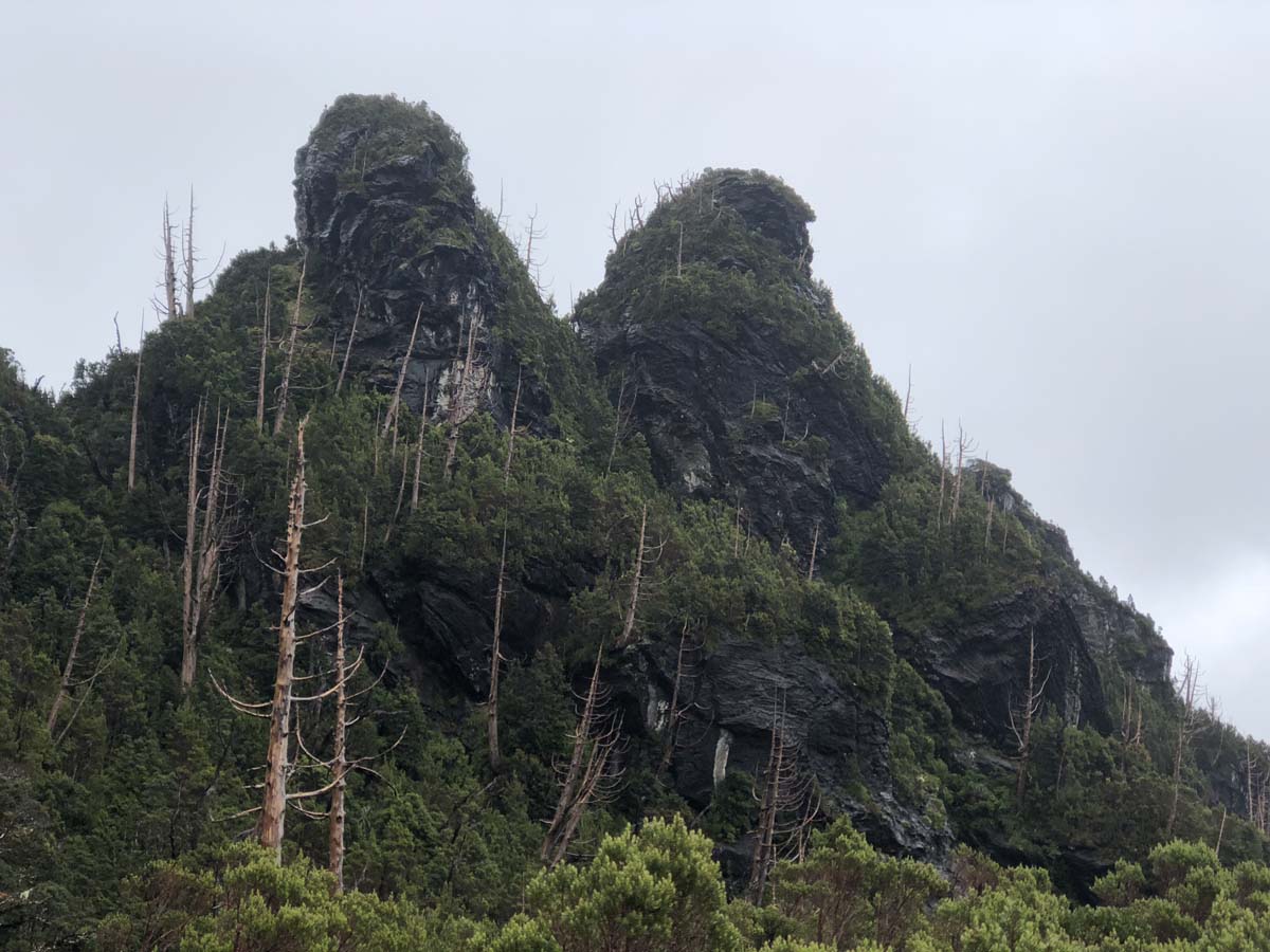 Frenchmans cap hike 45