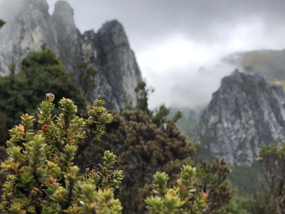 Frenchmans cap hike 91