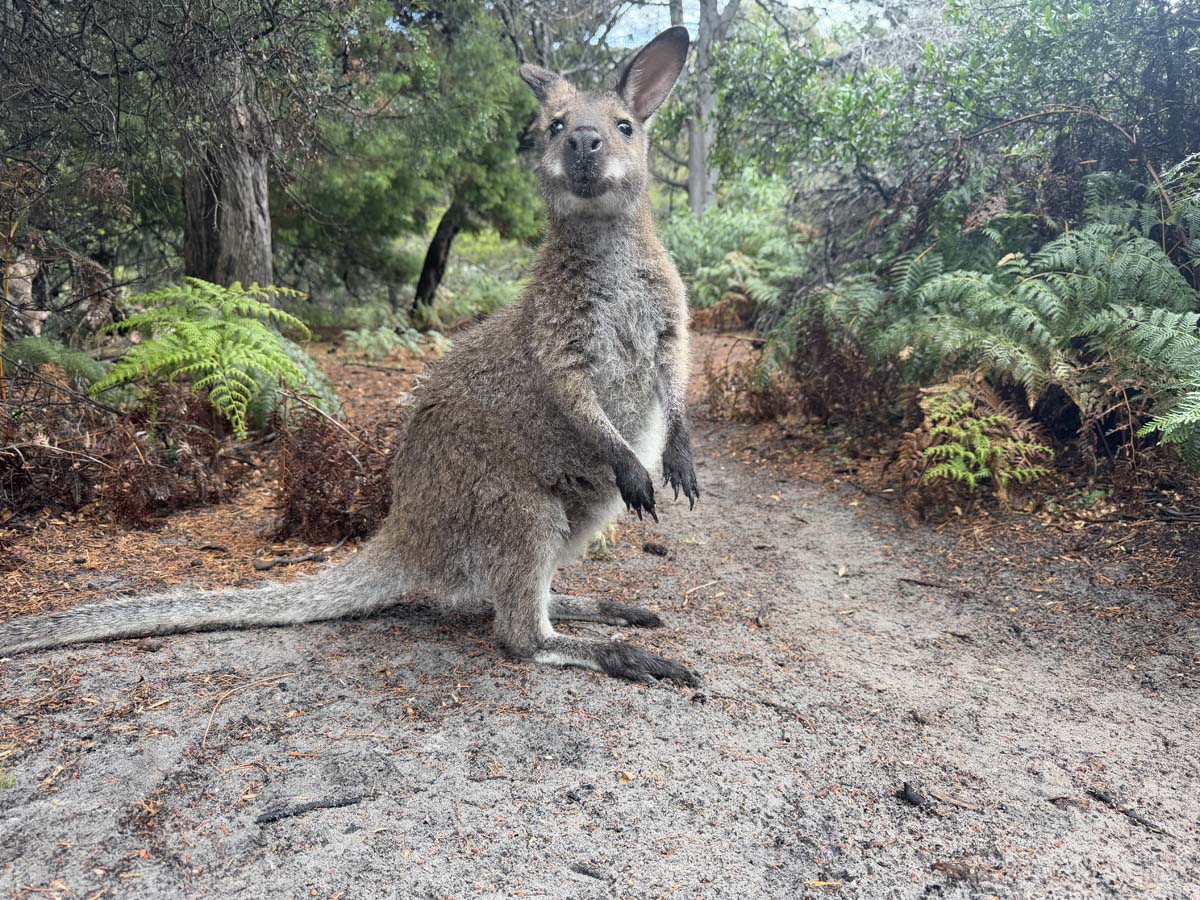 Freycinet peninsula circuit hike 113