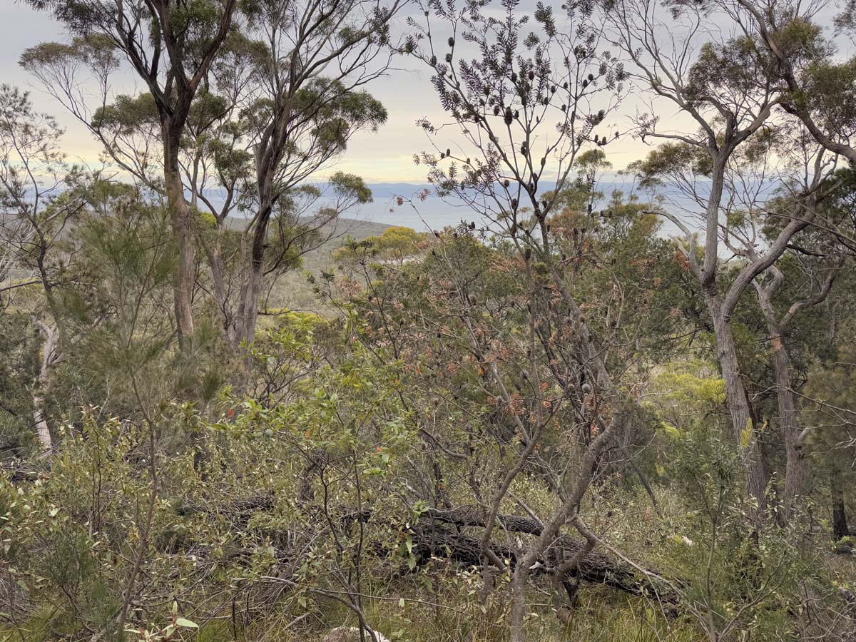 Freycinet peninsula circuit hike 68
