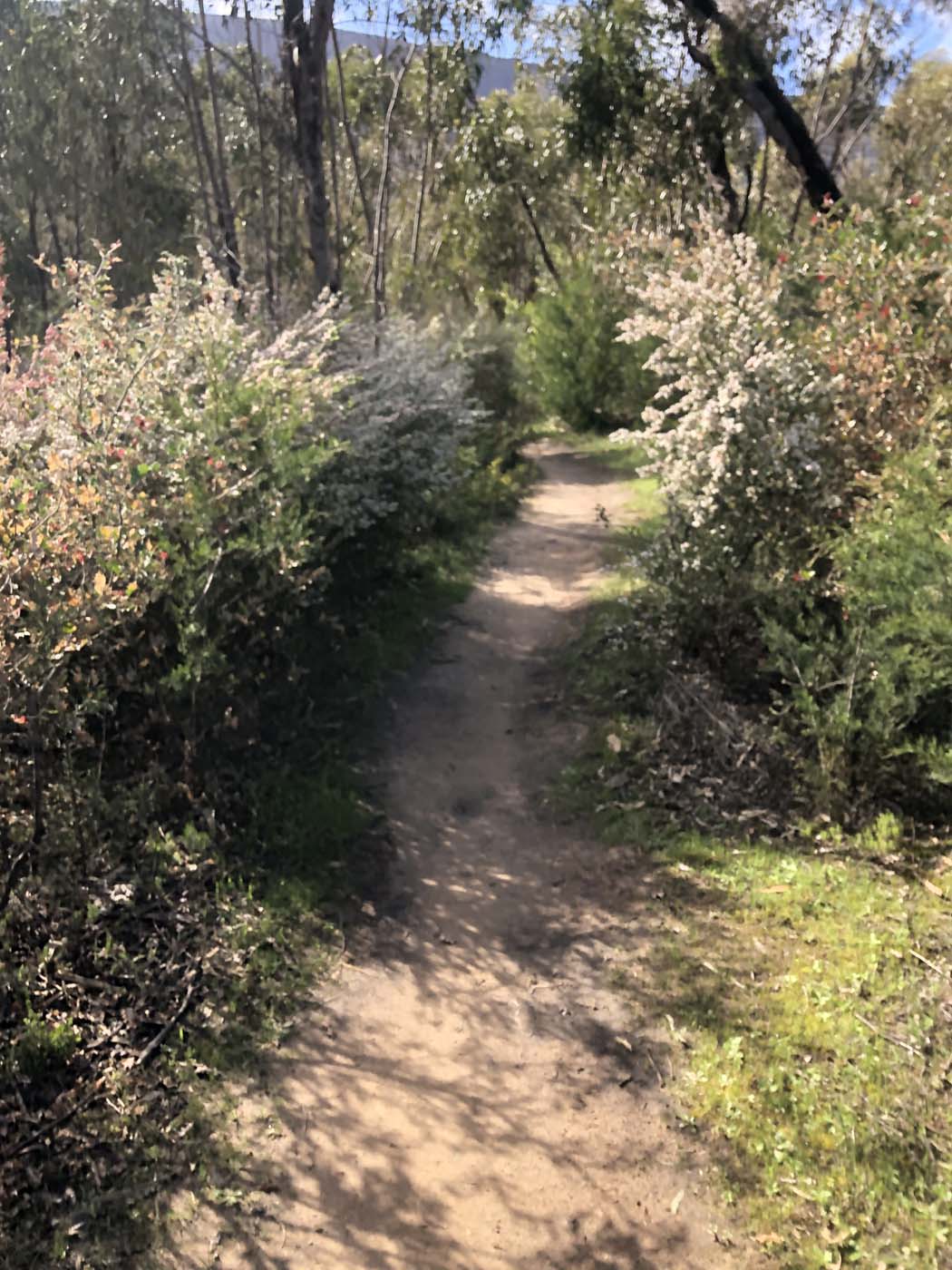 Gar werdug hike (45)