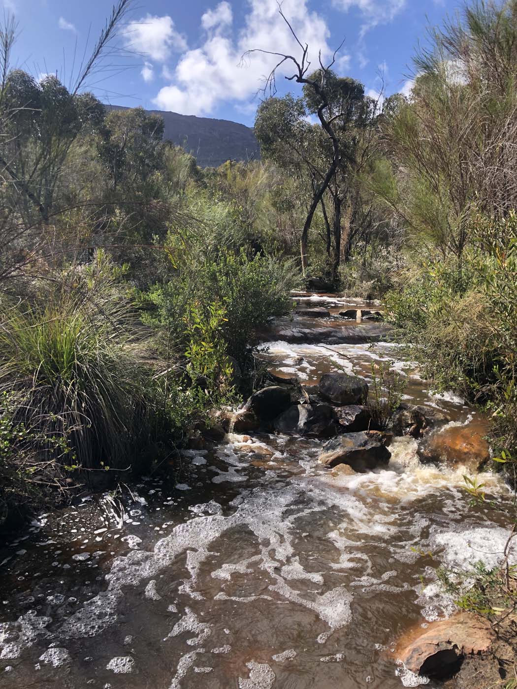 Gar werdug hike (46)
