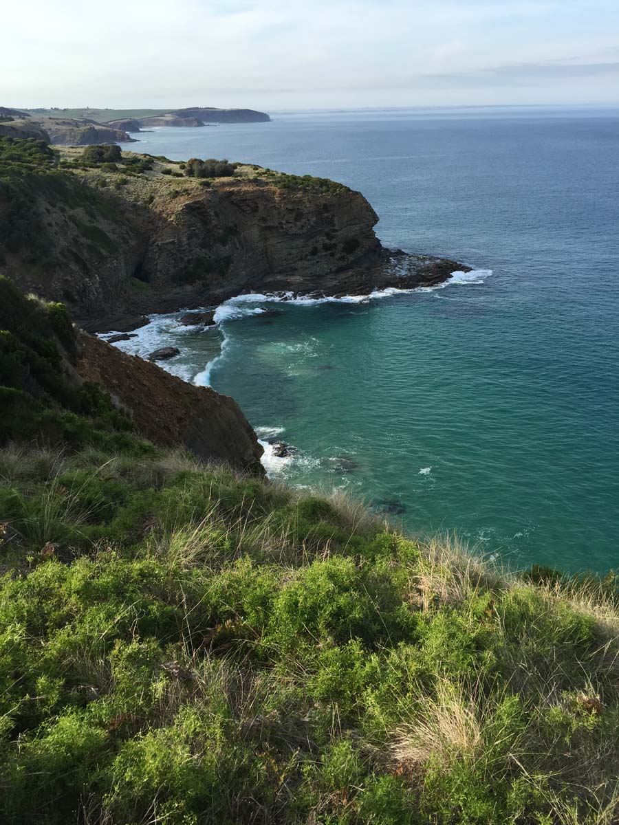 George bass coastal walk 1