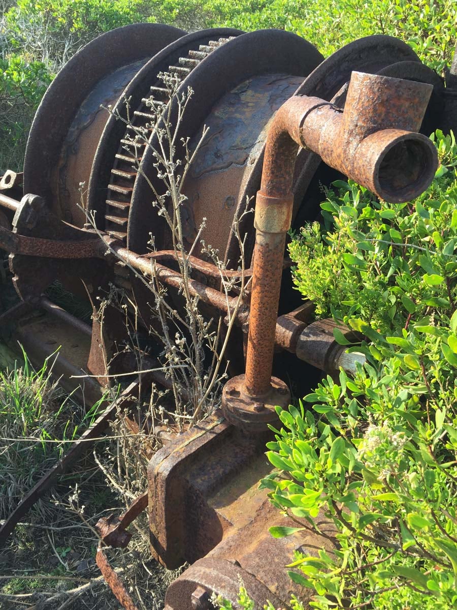 George bass coastal walk 11