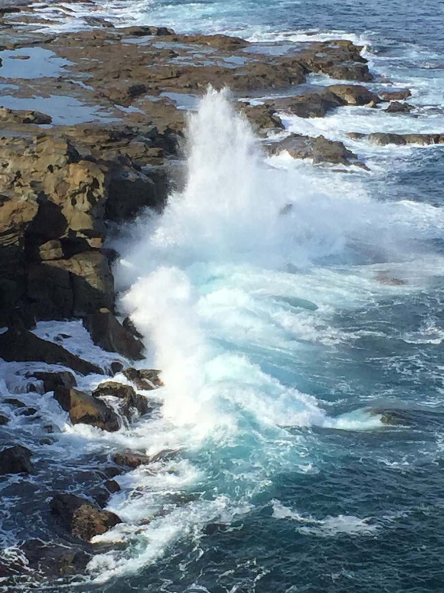 George bass coastal walk 13
