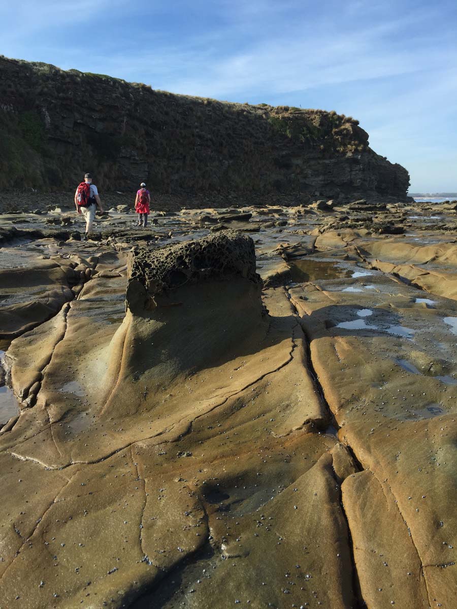 George bass coastal walk 16