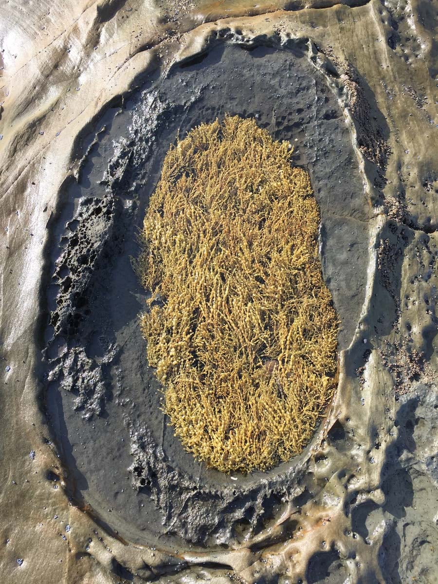 George bass coastal walk 18