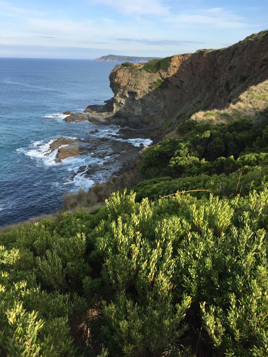 George bass coastal walk 3