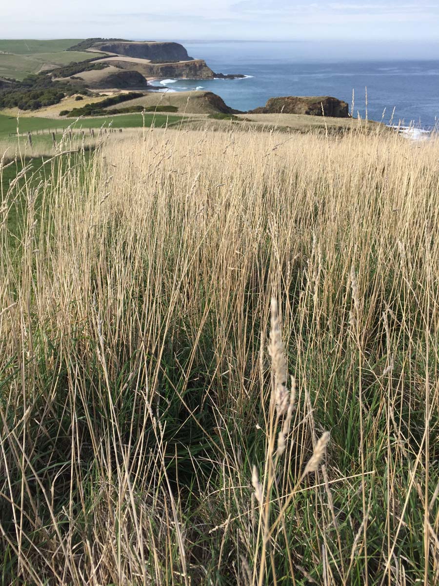George bass coastal walk 6