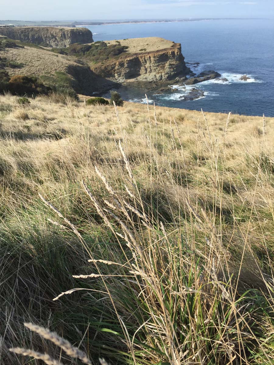 George bass coastal walk 8