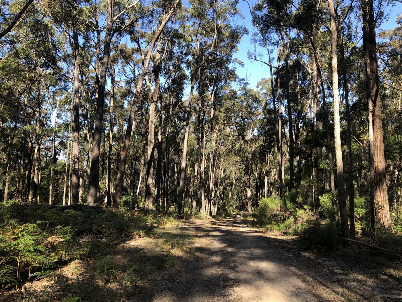 Gippsland lakes discovery trail (12)