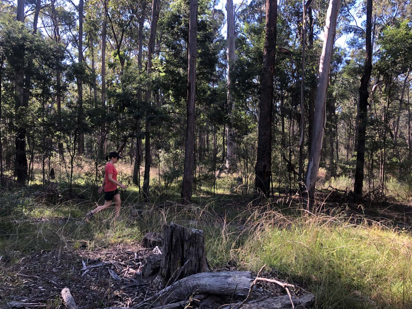 Gippsland lakes discovery trail (13)