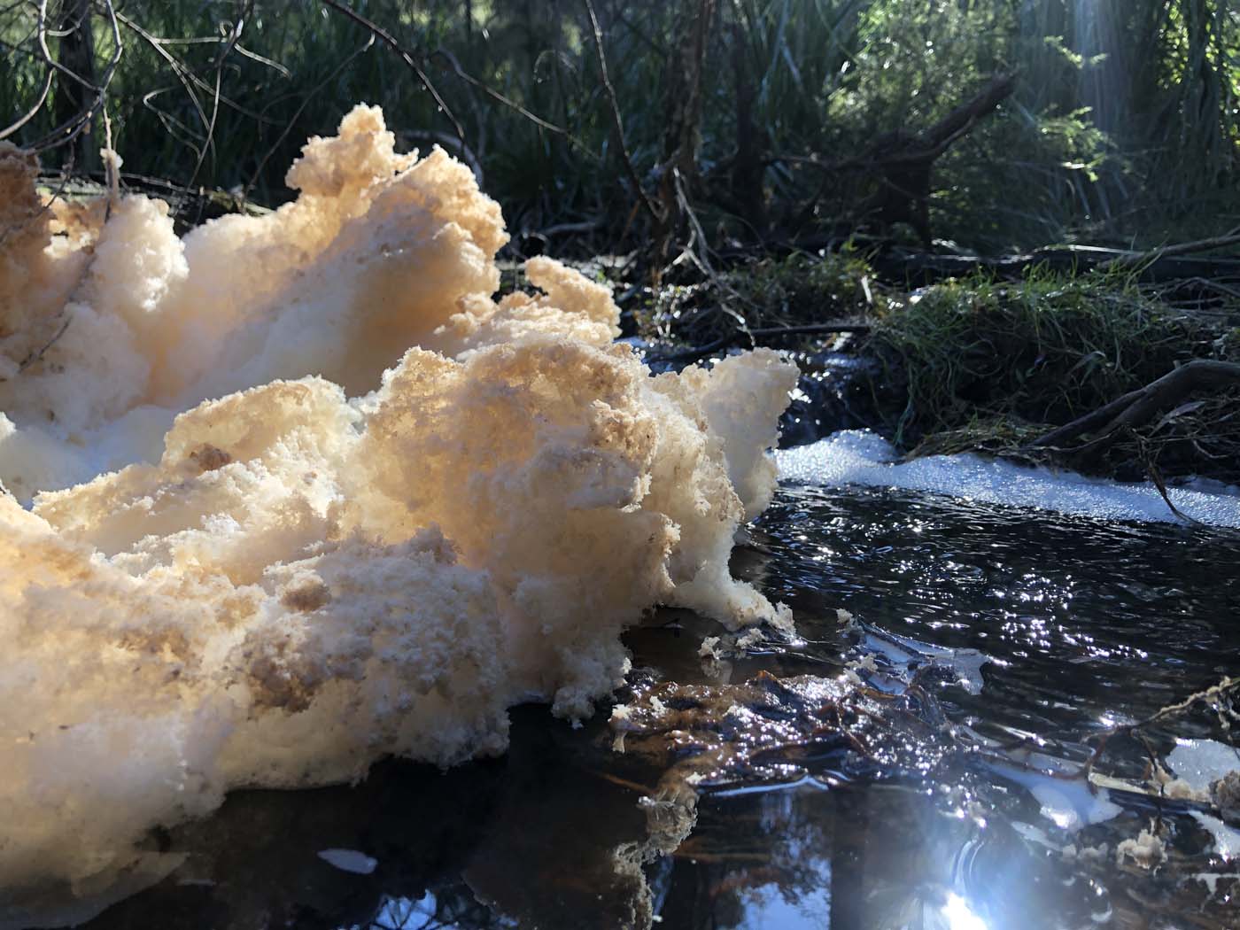 Gippsland lakes discovery trail (14)
