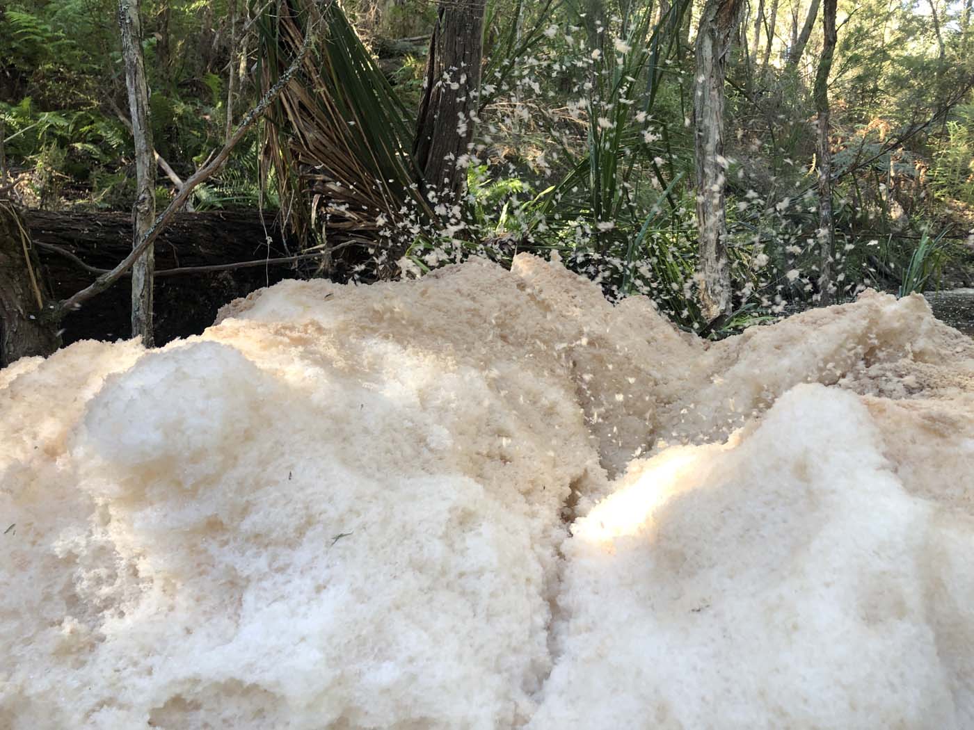Gippsland lakes discovery trail (15)