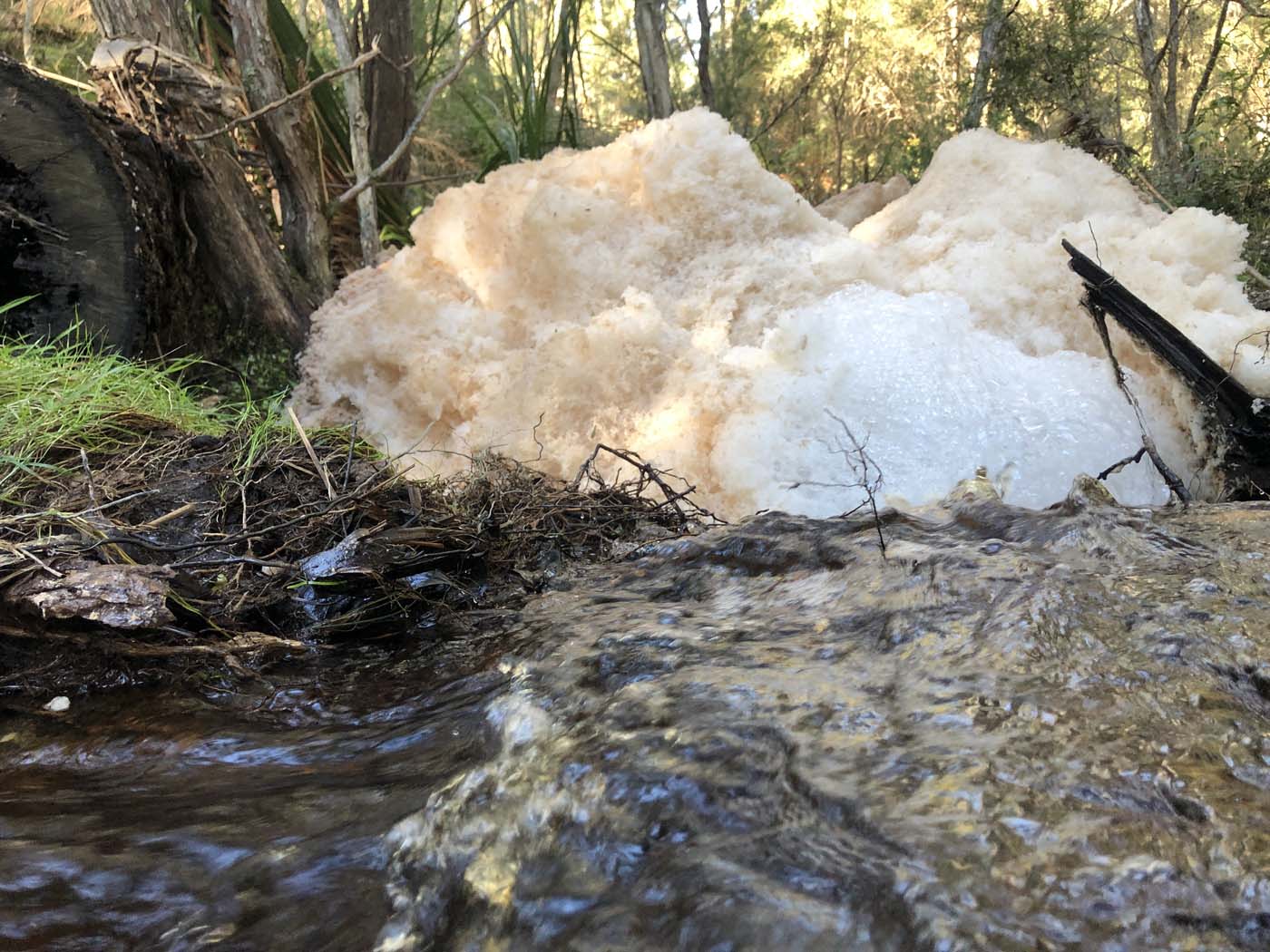 Gippsland lakes discovery trail (16)