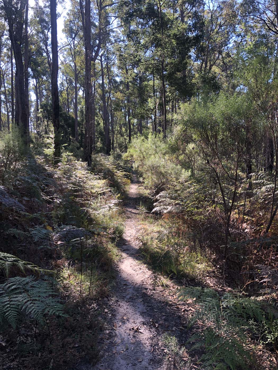 Gippsland lakes discovery trail (18)