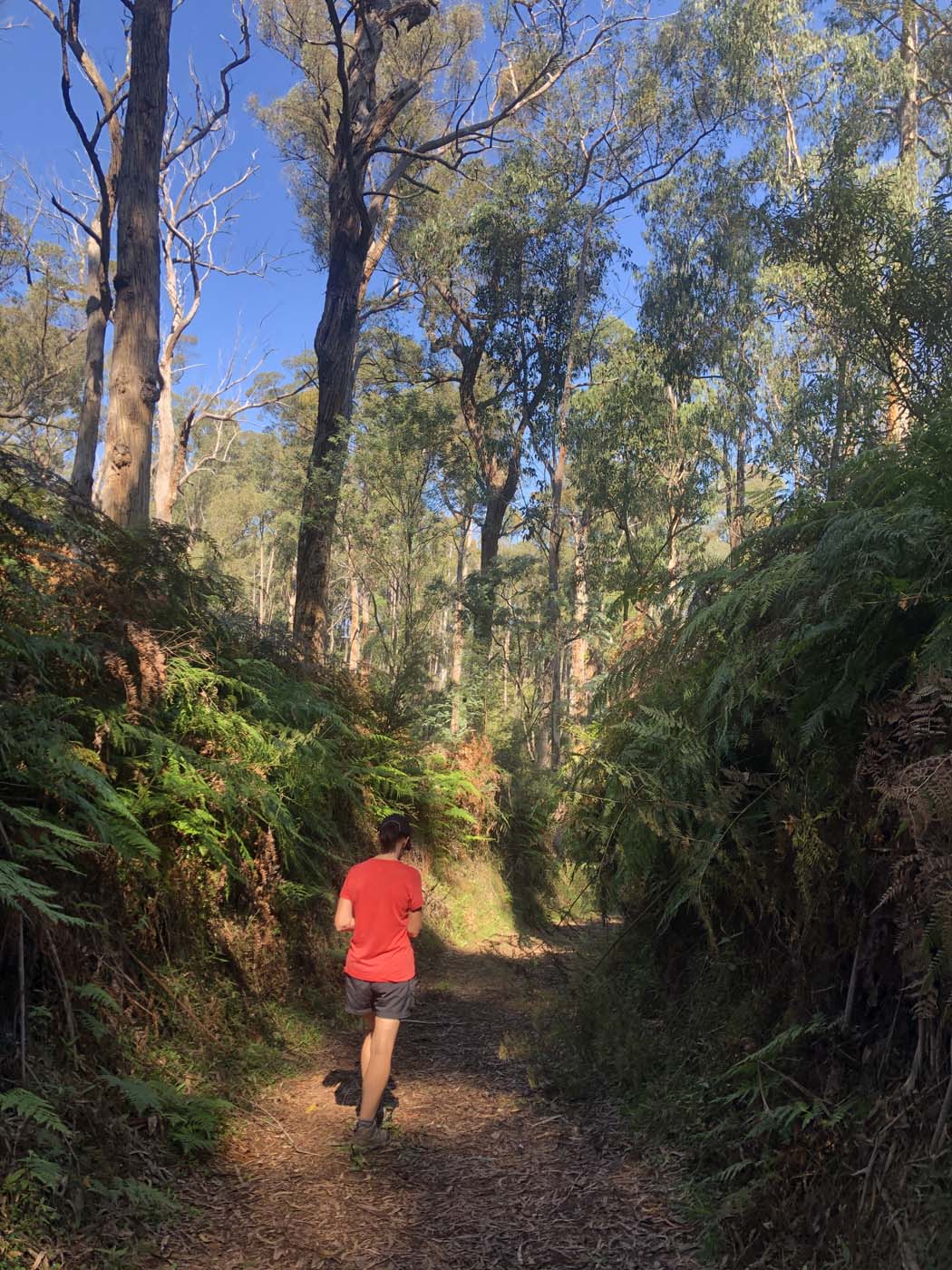 Gippsland lakes discovery trail (19)