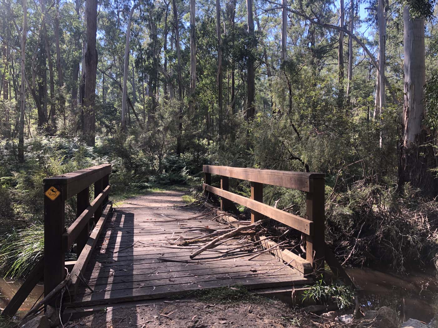 Gippsland lakes discovery trail (21)