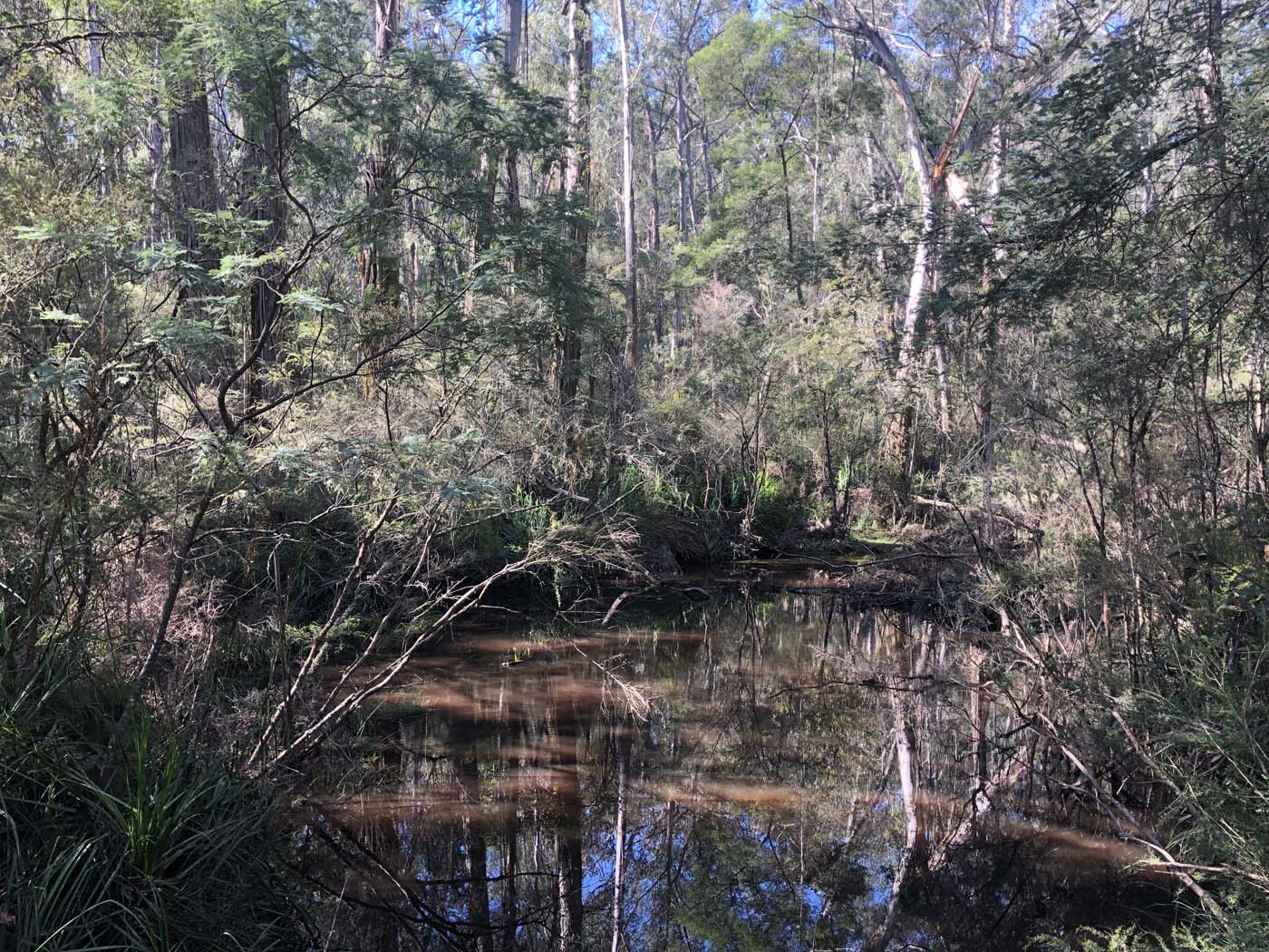 Gippsland lakes discovery trail (24)
