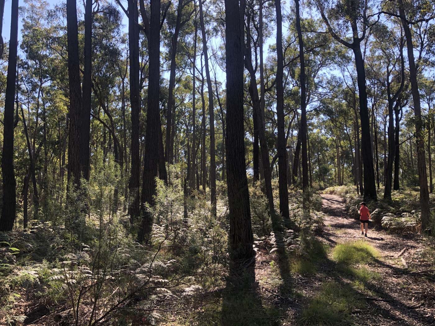 Gippsland lakes discovery trail (27)