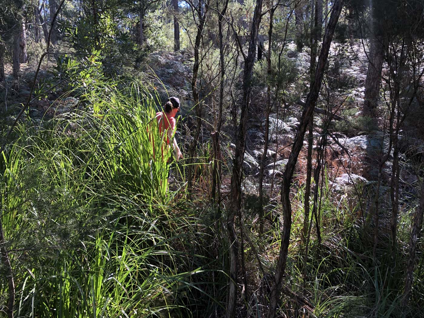 Gippsland lakes discovery trail (29)