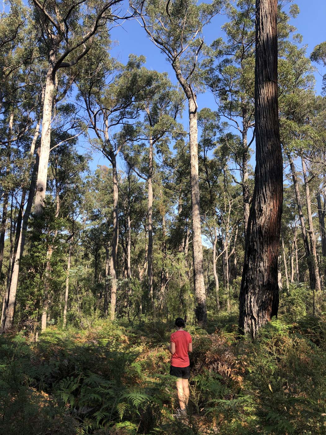 Gippsland lakes discovery trail (30)
