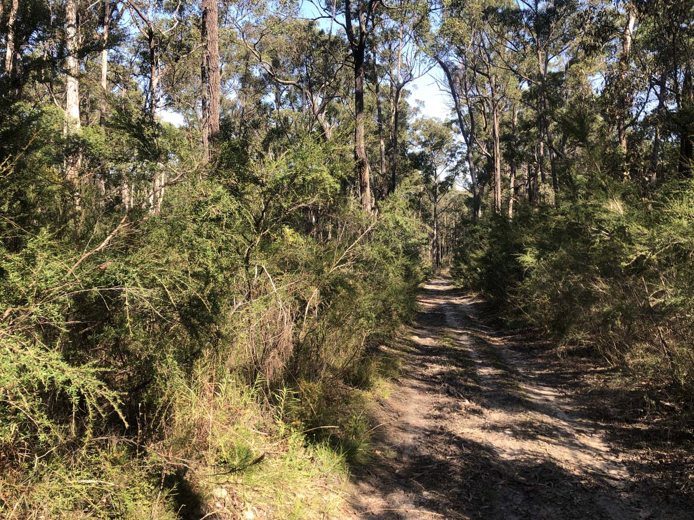 Gippsland lakes discovery trail (32)