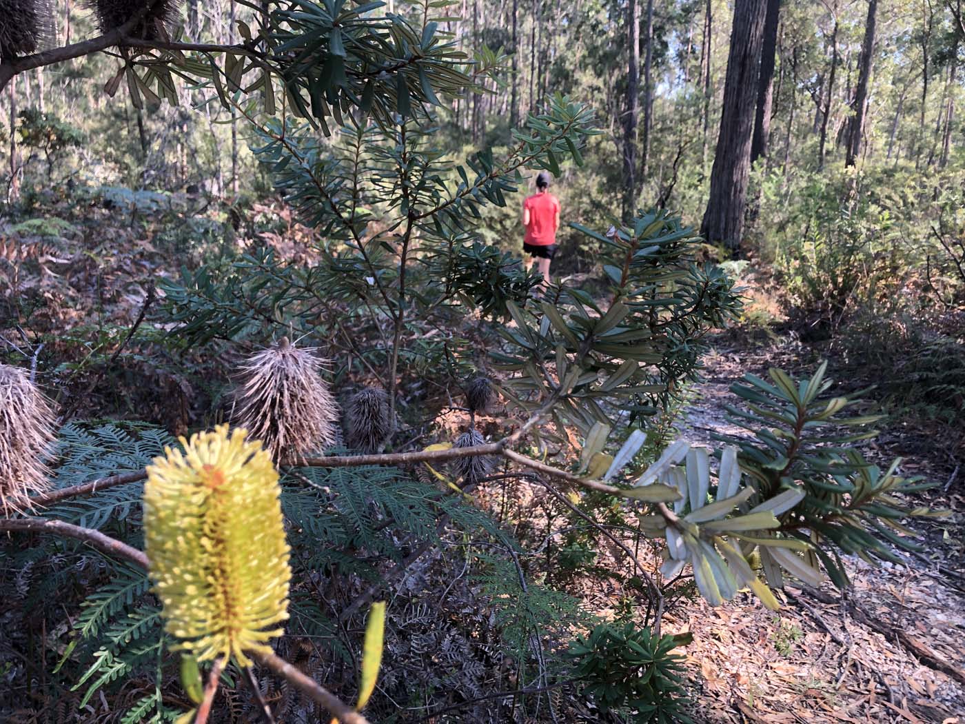 Gippsland lakes discovery trail (34)