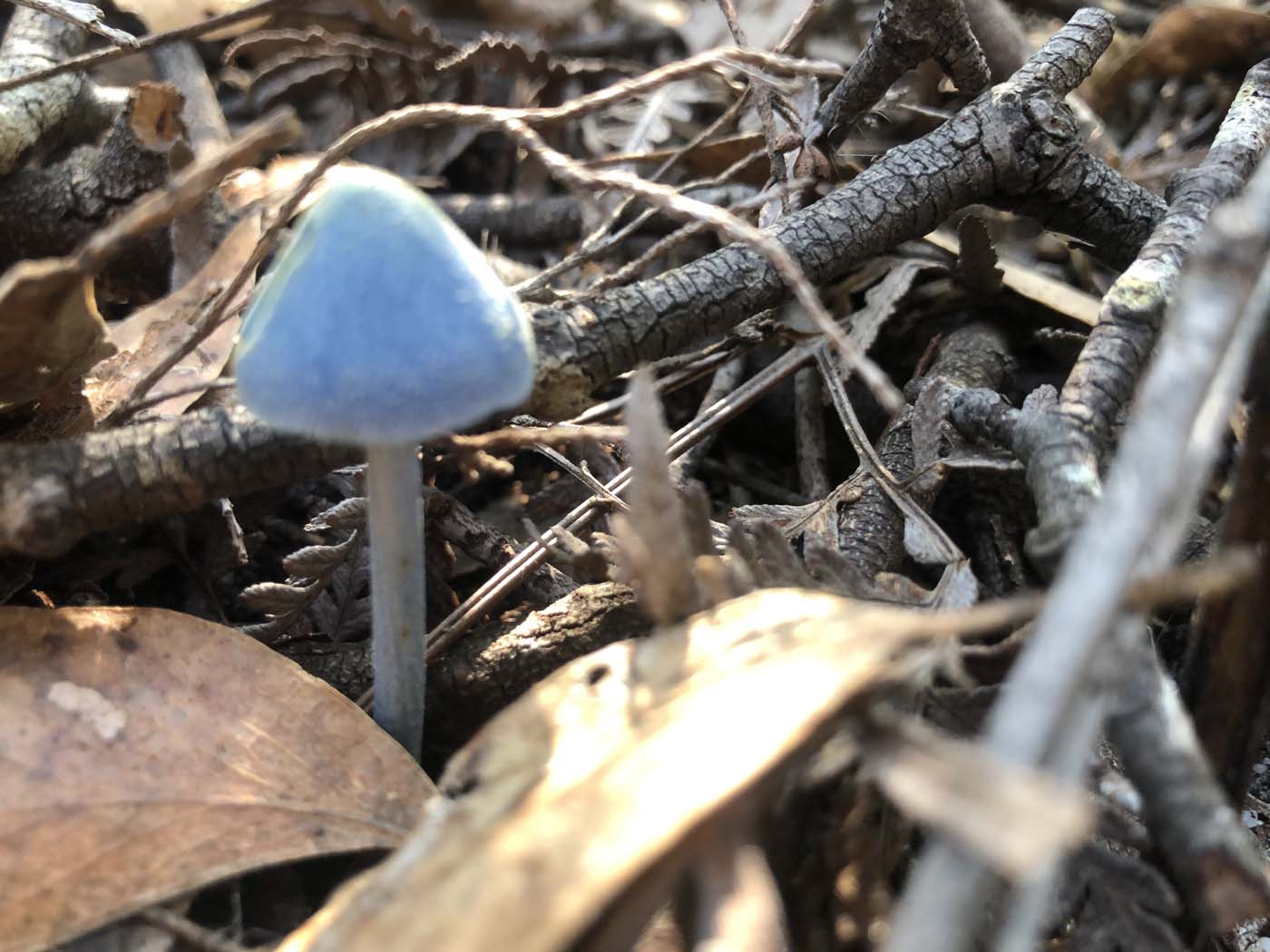 Gippsland lakes discovery trail (5)