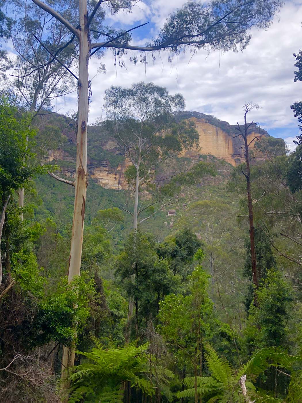 Golden staircase to mt solitary (3)