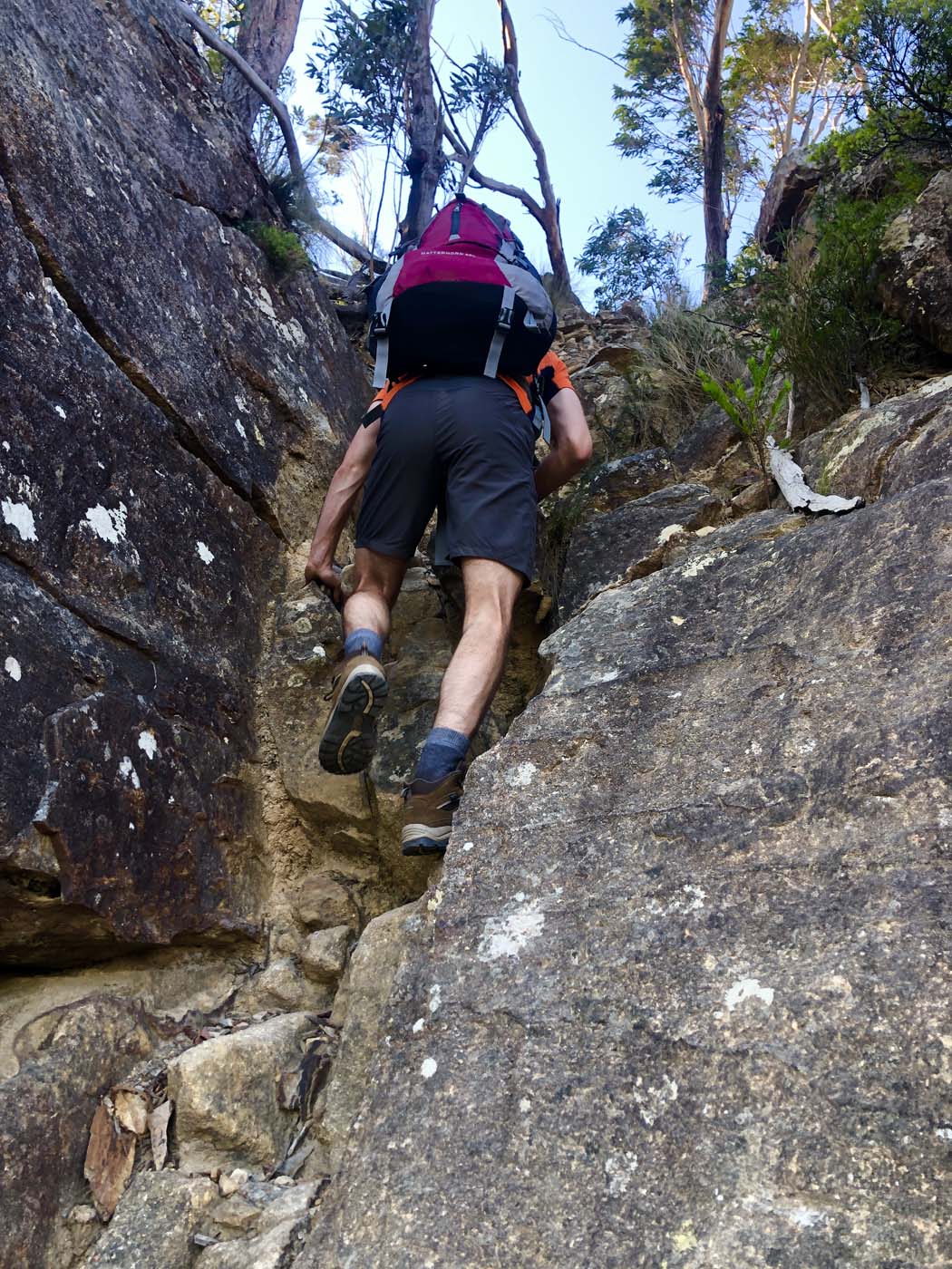 Golden staircase to mt solitary (35)