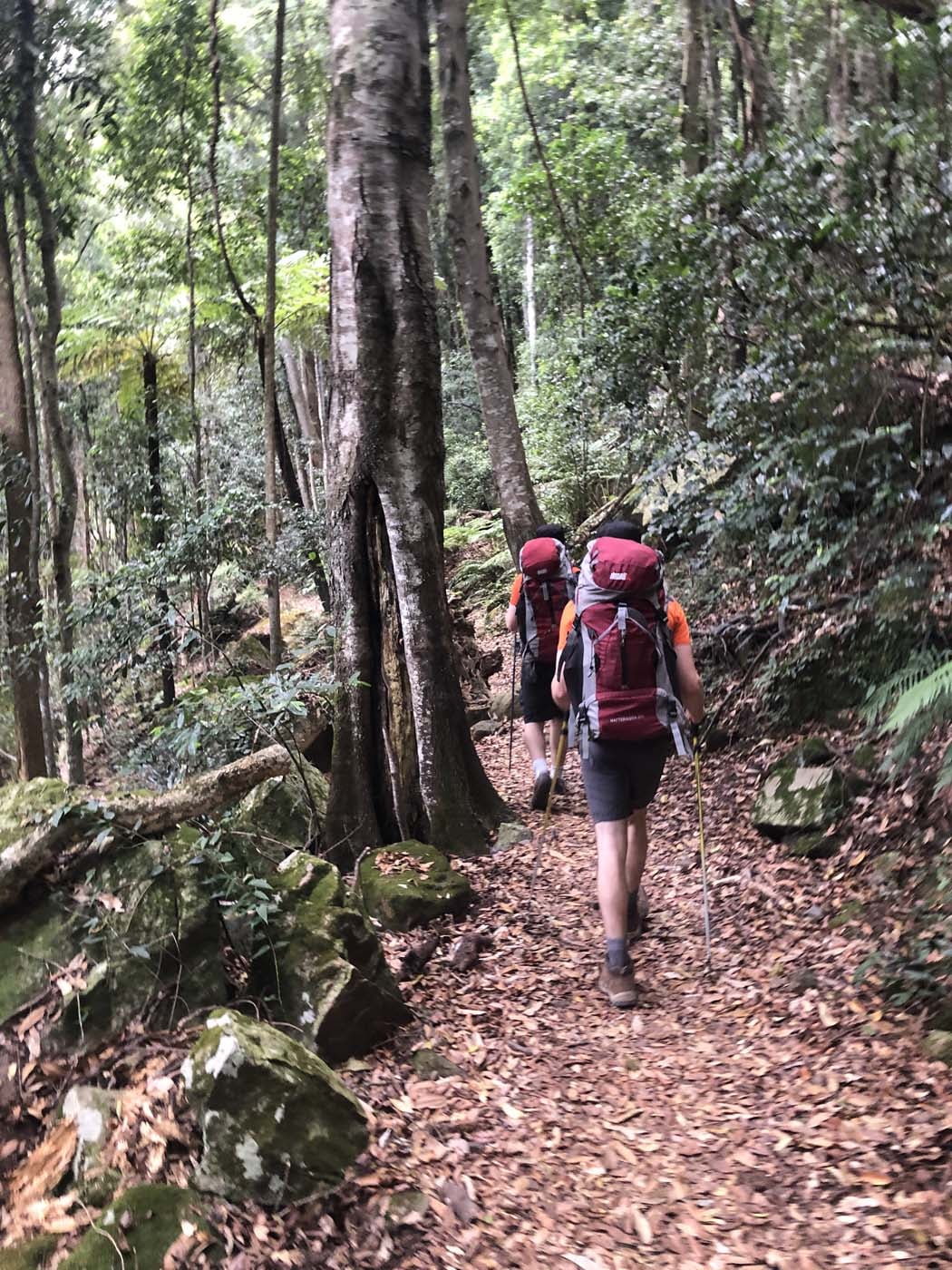 Golden staircase to mt solitary (4)