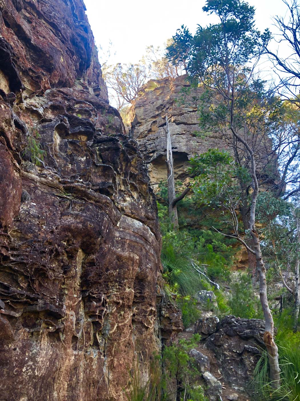 Golden staircase to mt solitary (45)