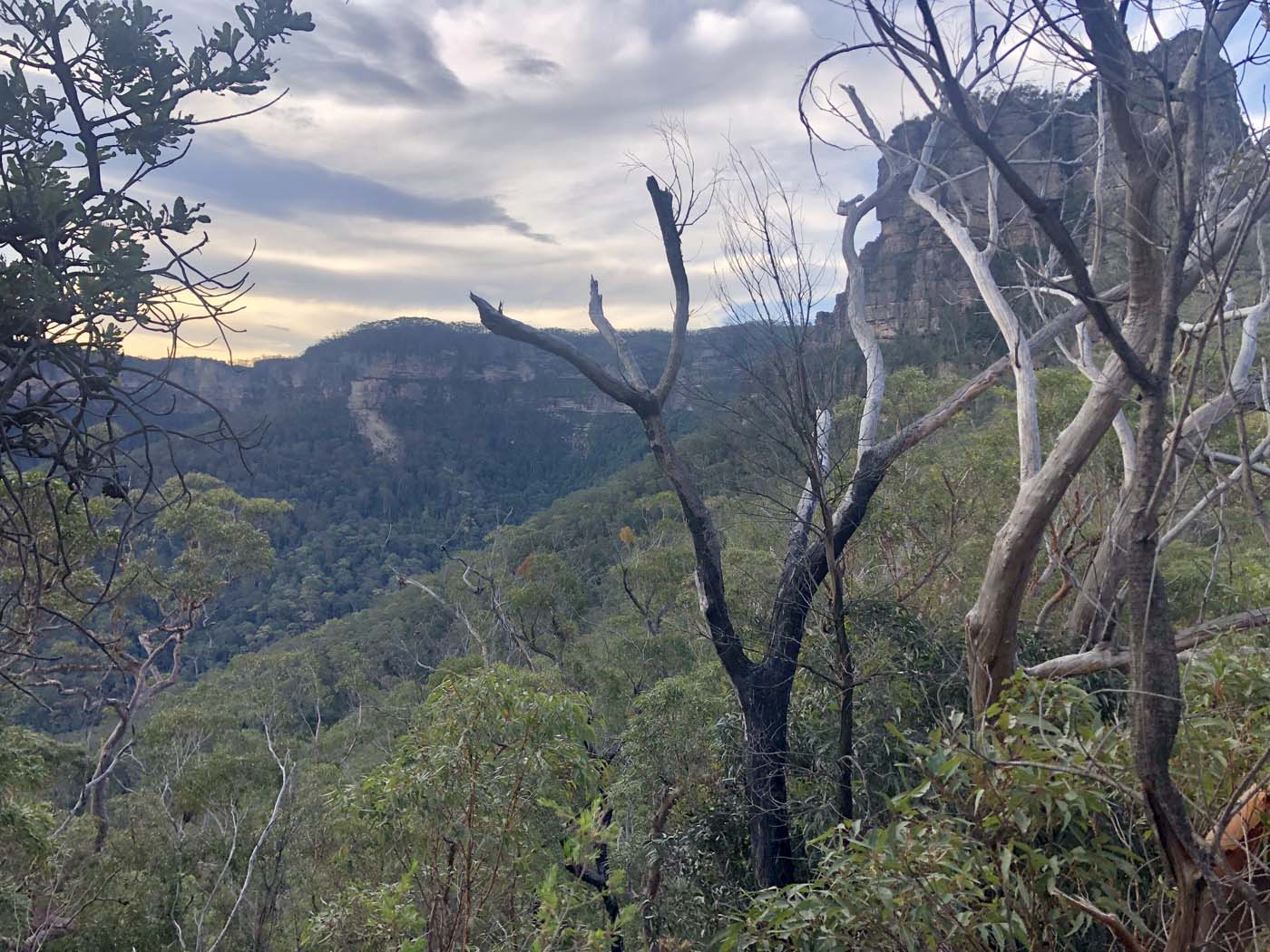 Golden staircase to mt solitary (7)