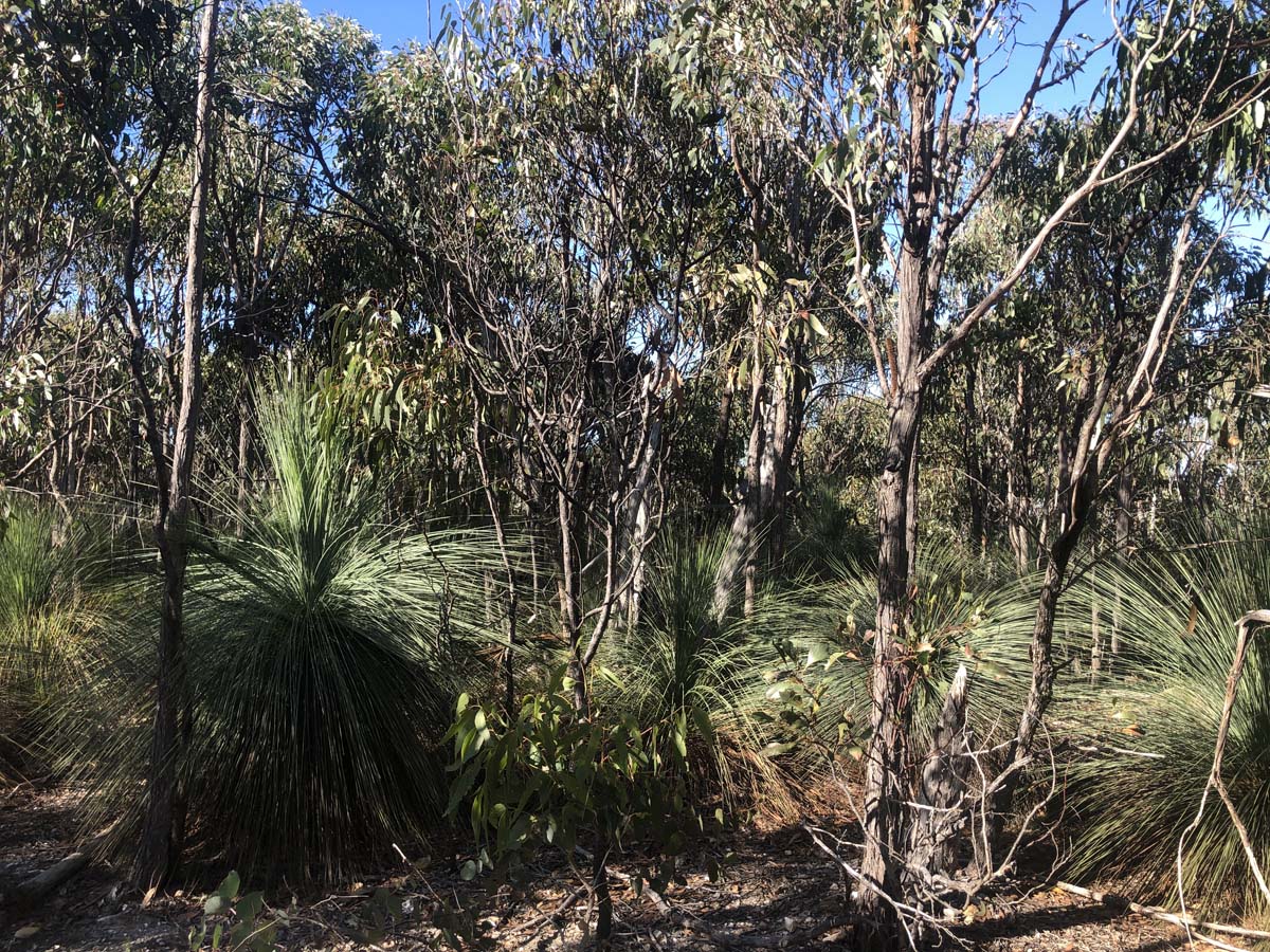 Goodmans weir circuit hike 10