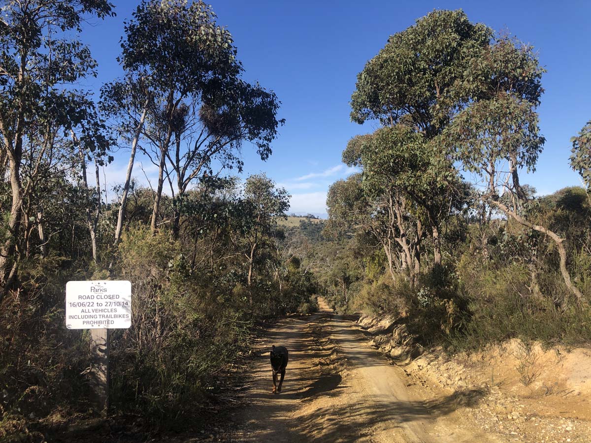 Goodmans weir circuit hike 11