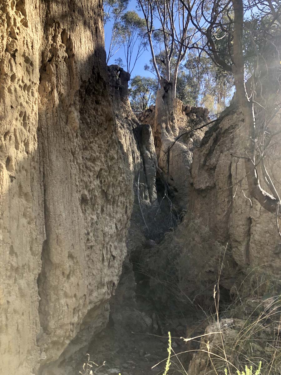 Goodmans weir circuit hike 14
