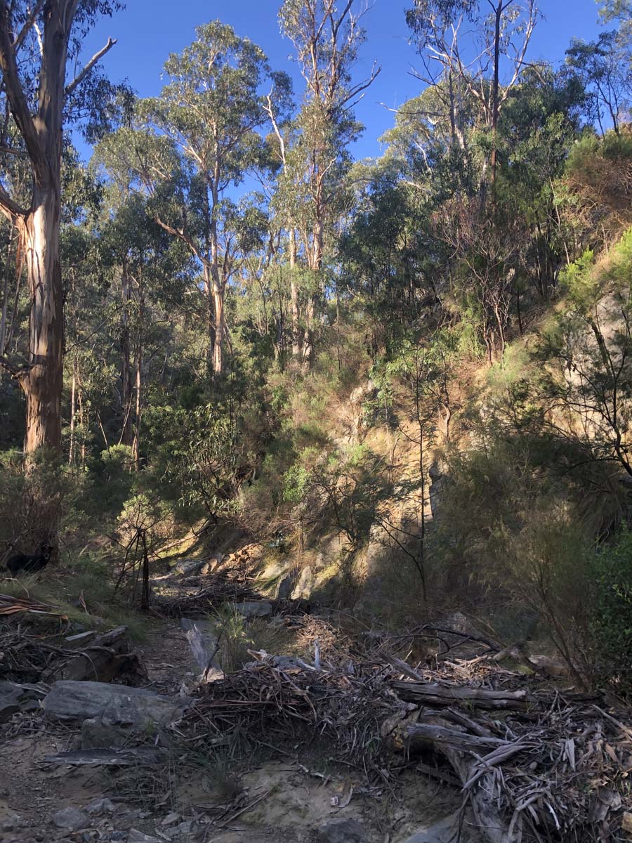 Goodmans weir circuit hike 19