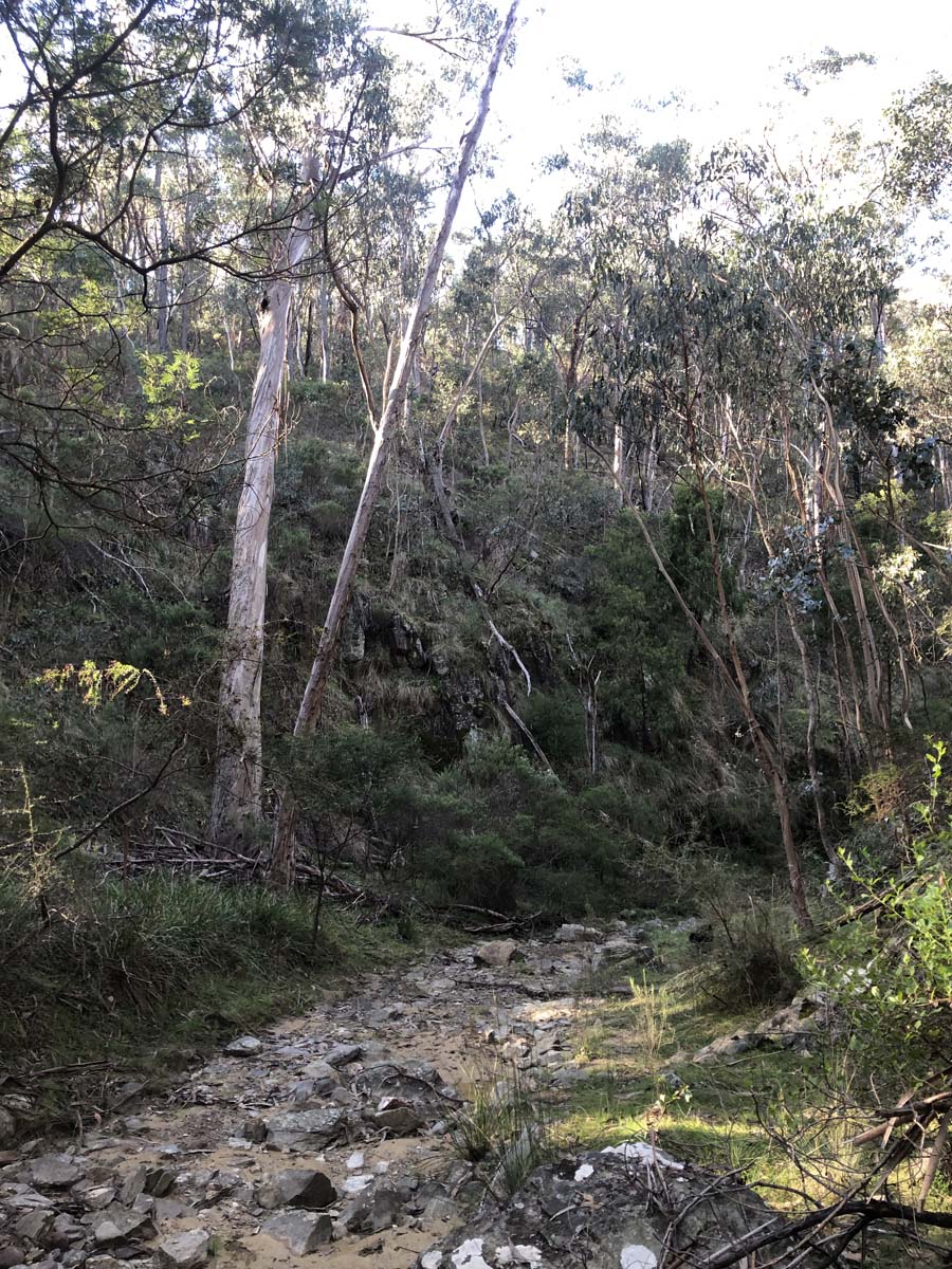 Goodmans weir circuit hike 20