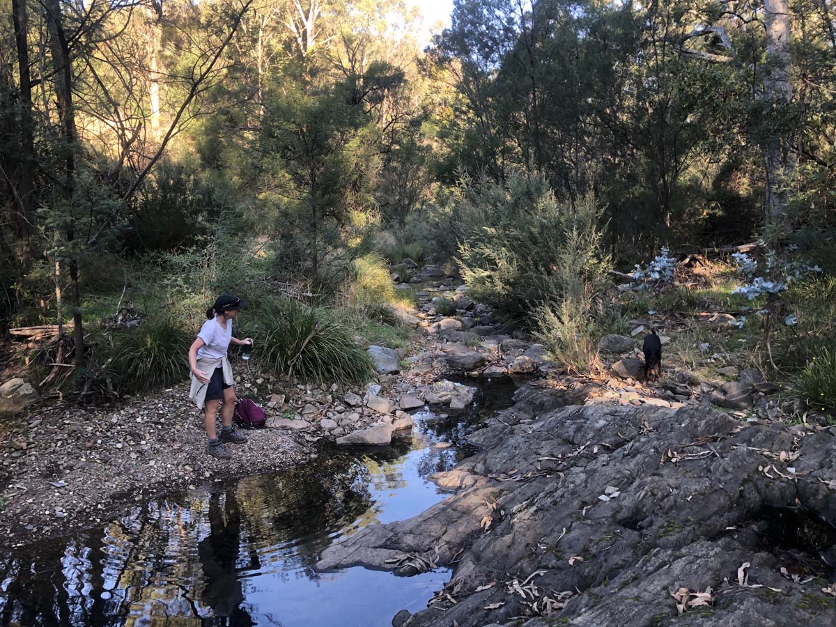Goodmans weir circuit hike 21