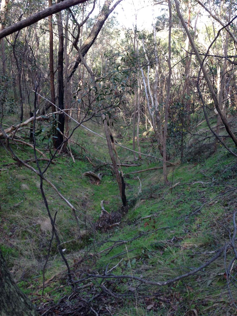Goodmans weir circuit hike 3