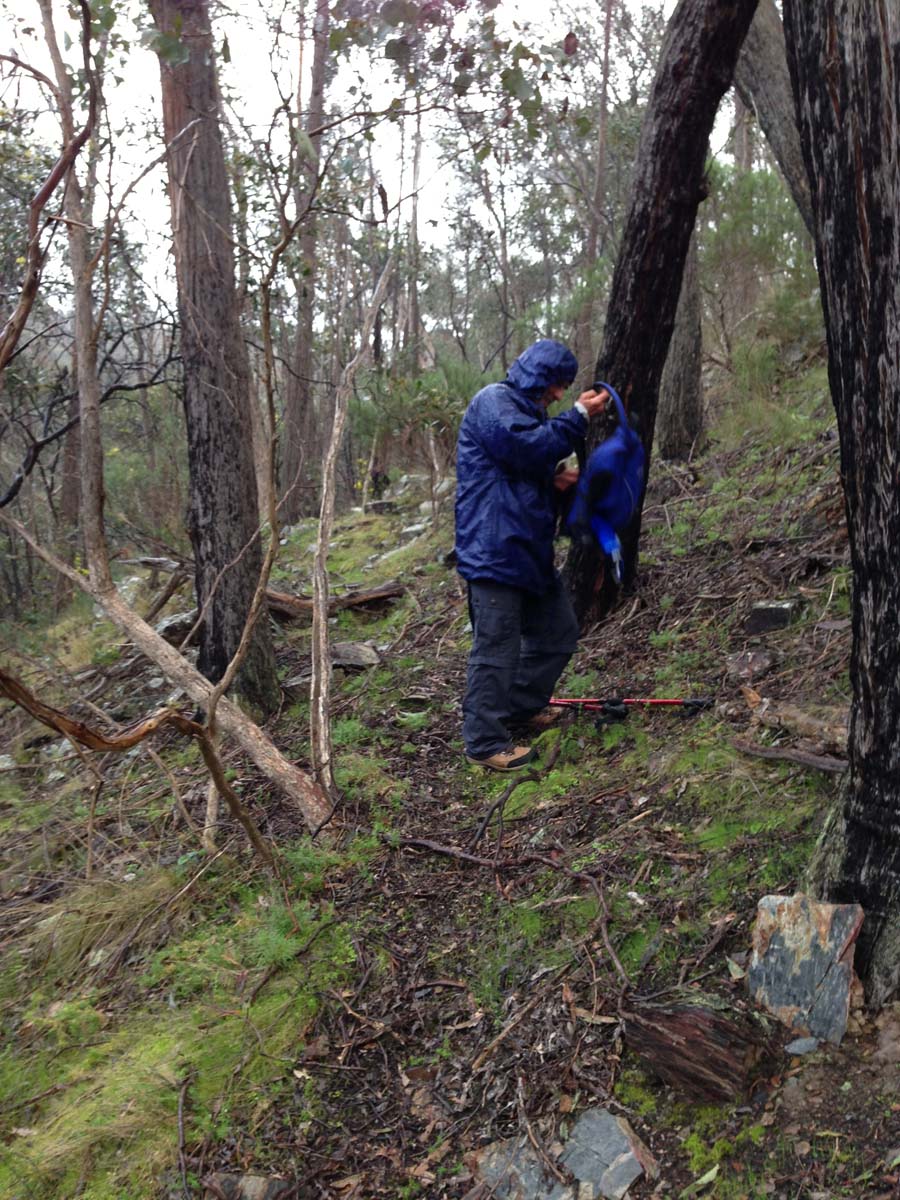 Goodmans weir circuit hike 4