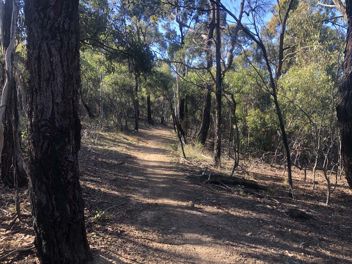 Goodmans weir circuit hike 8